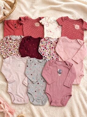 11pc 0-3 Month Baby Girl Bundle - Carters & More, Bodysuits & Pants